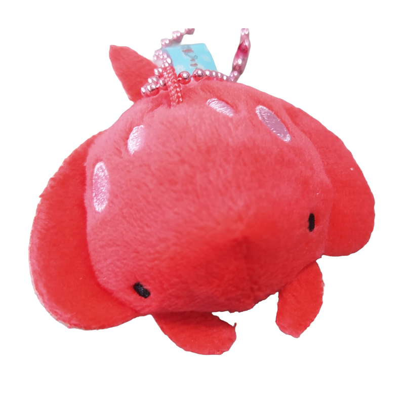 5CM海洋丸子二代B